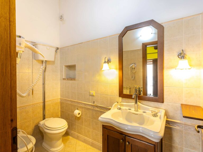 vuslinia-bagno
