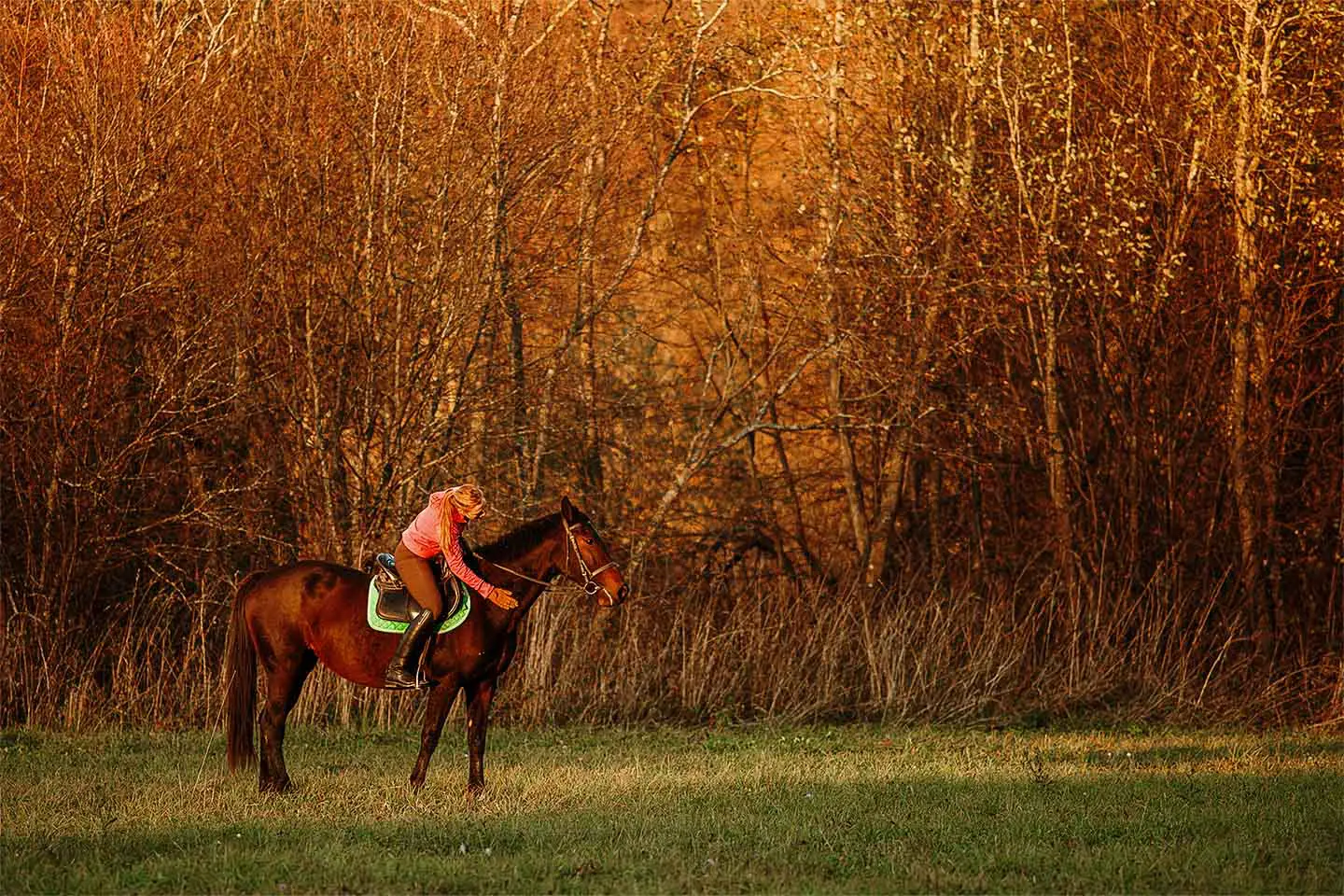 Passeggiate a cavallo