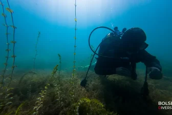bolsena divers 1