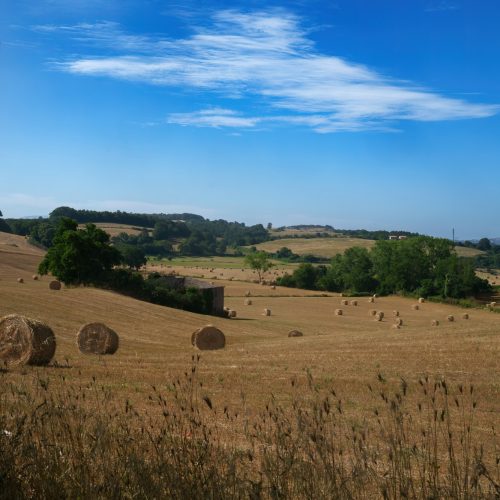 Rural landscape near Bolsena, Lazio, Italy